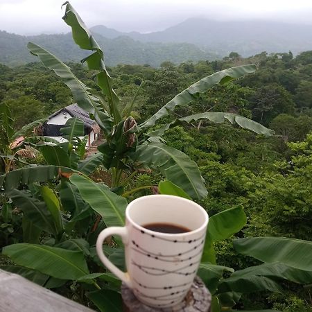 Hostal Mirador Dentro Del Parque Tayrona Zaino Eksteriør billede