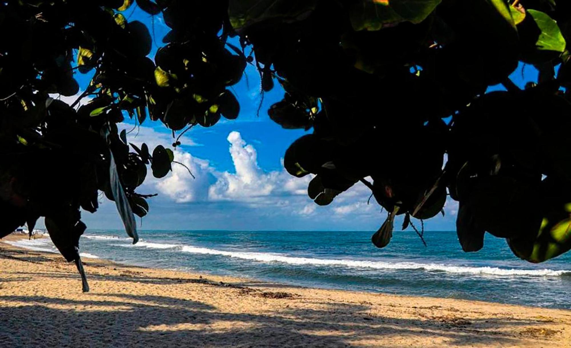 Hostal Mirador Dentro Del Parque Tayrona Zaino Eksteriør billede