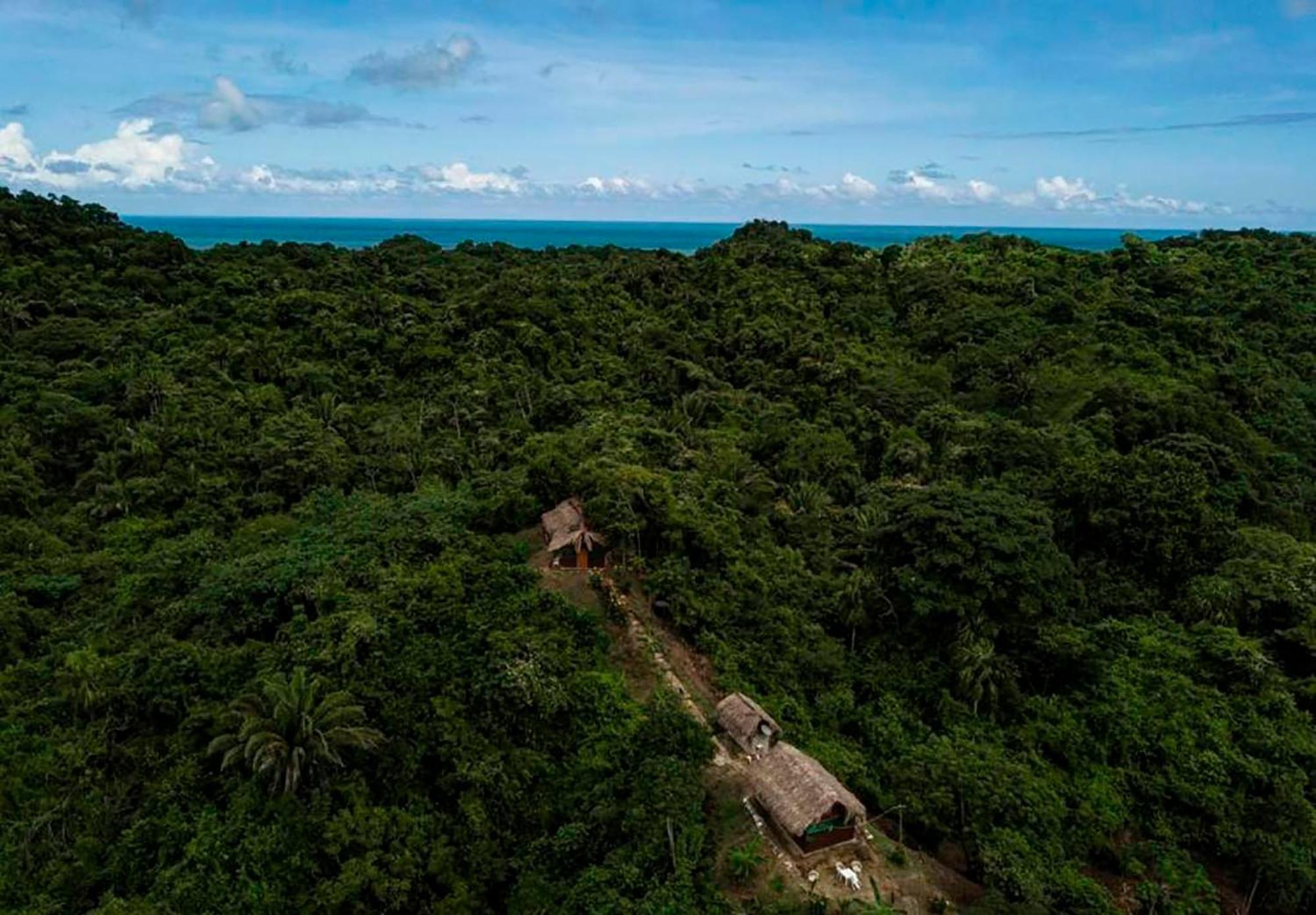 Hostal Mirador Dentro Del Parque Tayrona Zaino Eksteriør billede