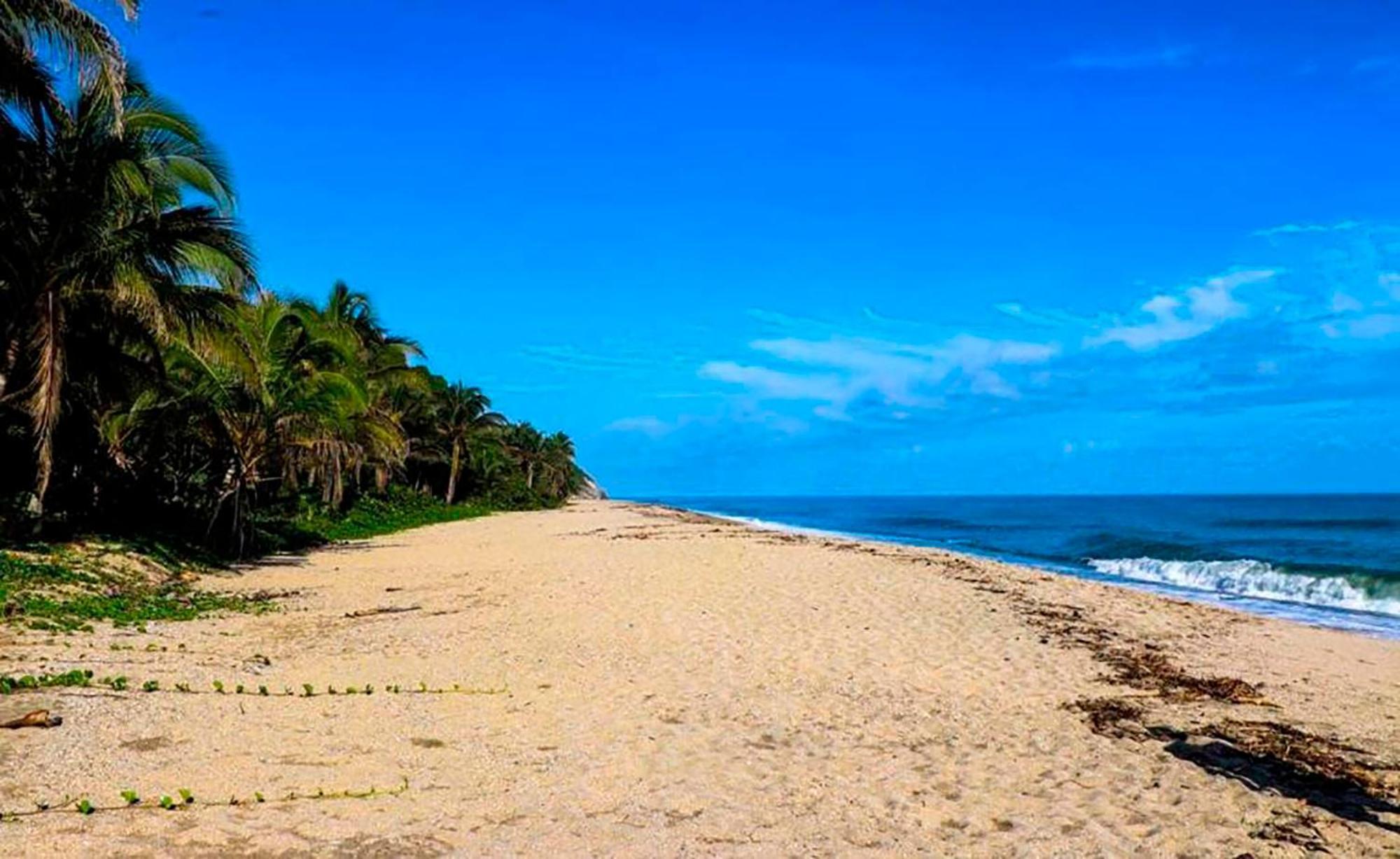 Hostal Mirador Dentro Del Parque Tayrona Zaino Eksteriør billede