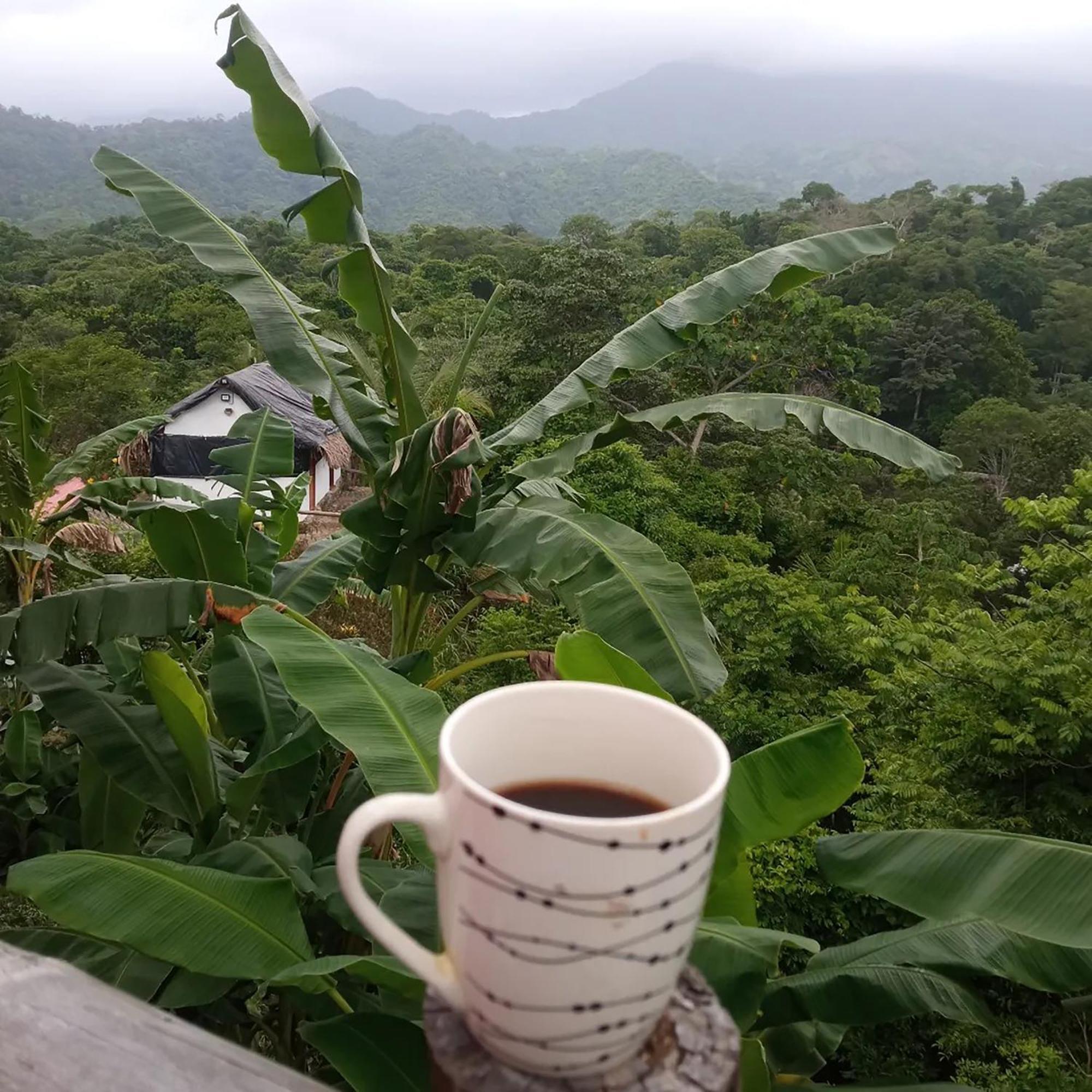 Hostal Mirador Dentro Del Parque Tayrona Zaino Eksteriør billede