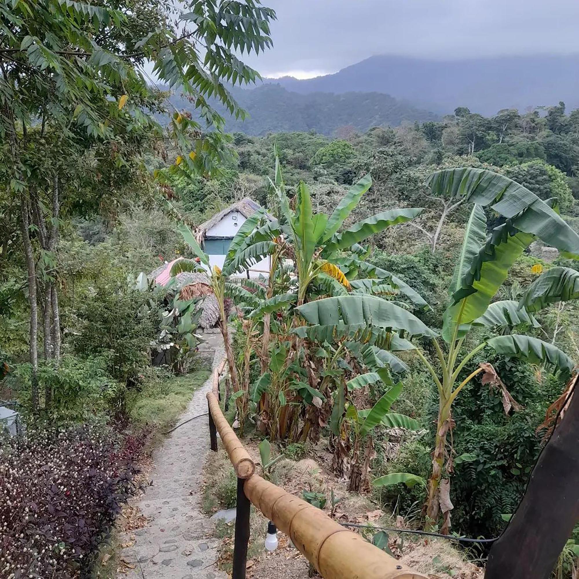 Hostal Mirador Dentro Del Parque Tayrona Zaino Eksteriør billede