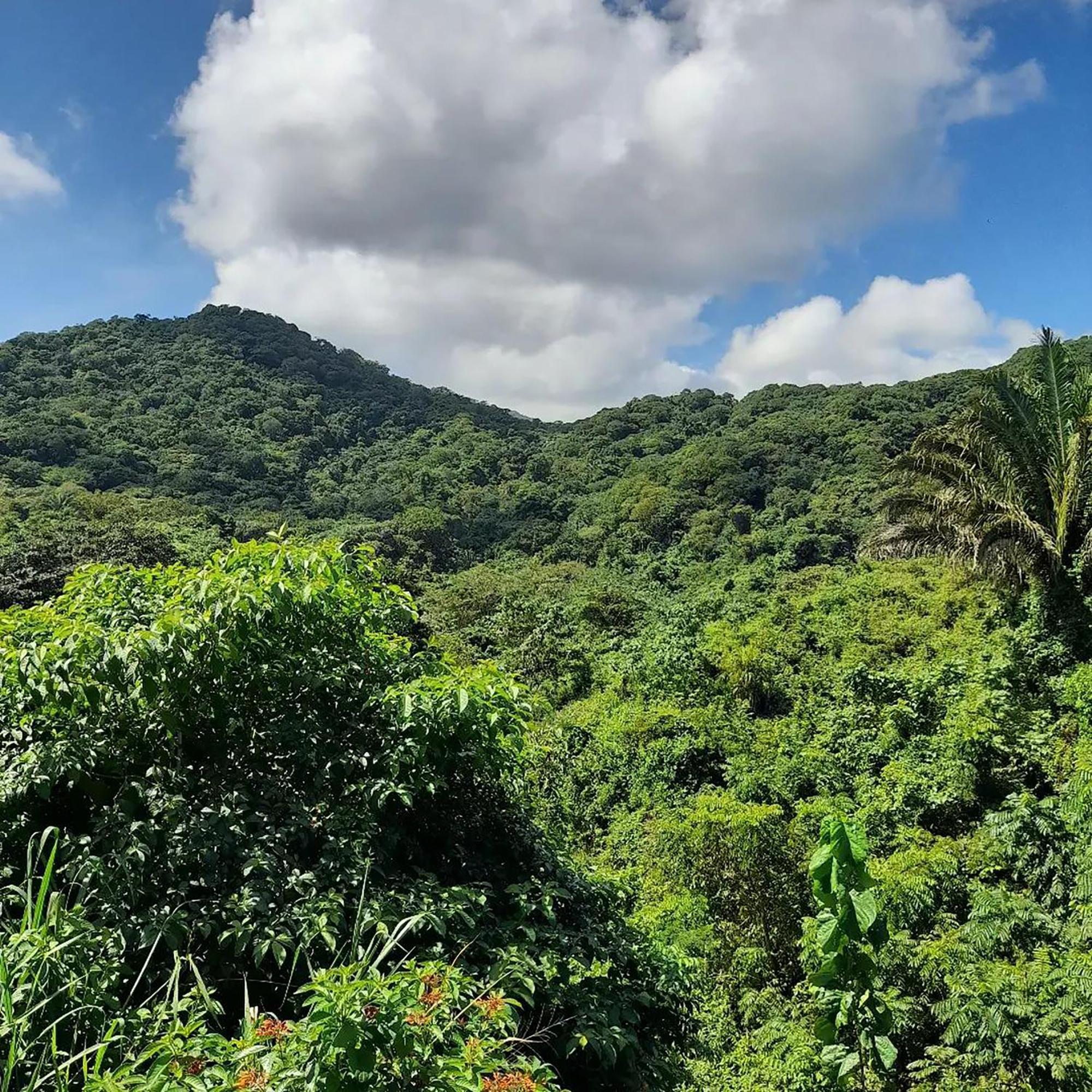 Hostal Mirador Dentro Del Parque Tayrona Zaino Eksteriør billede
