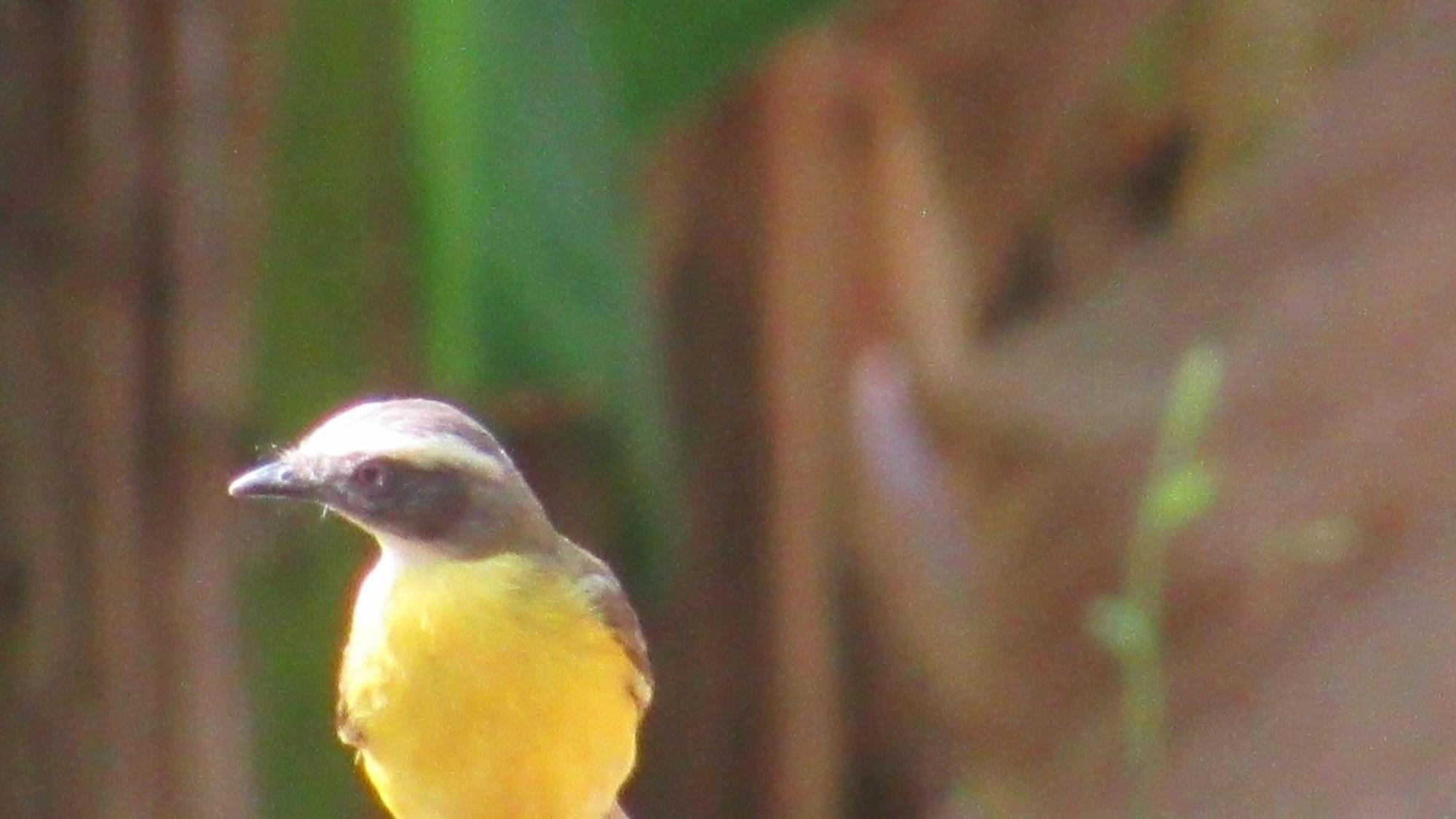 Hostal Mirador Dentro Del Parque Tayrona Zaino Eksteriør billede